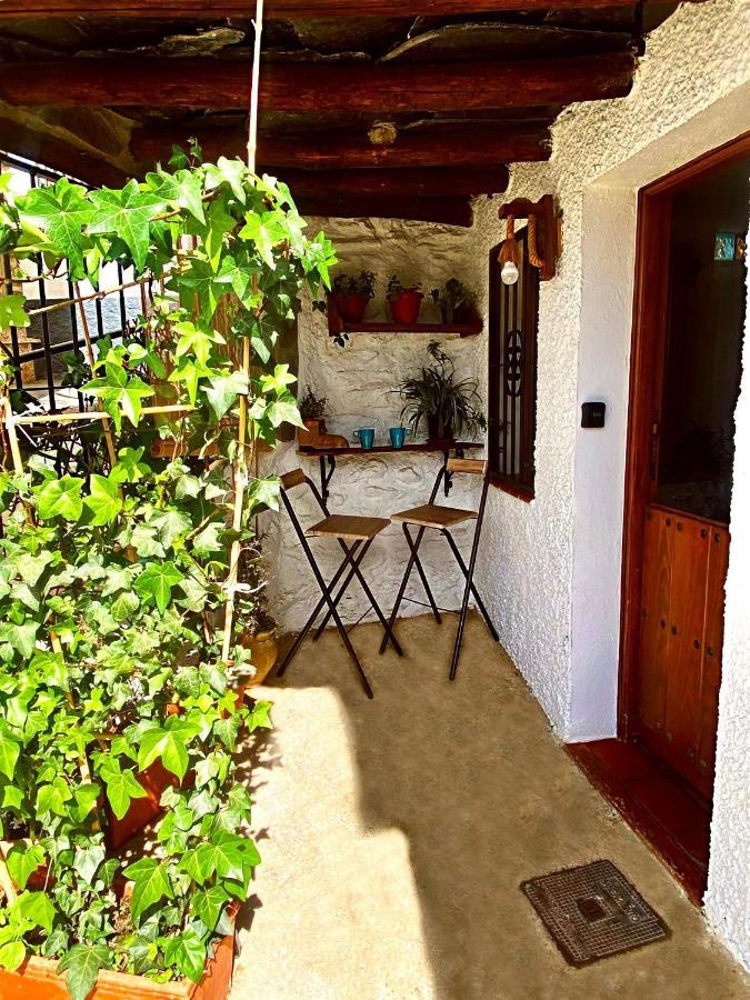 Casa Flores