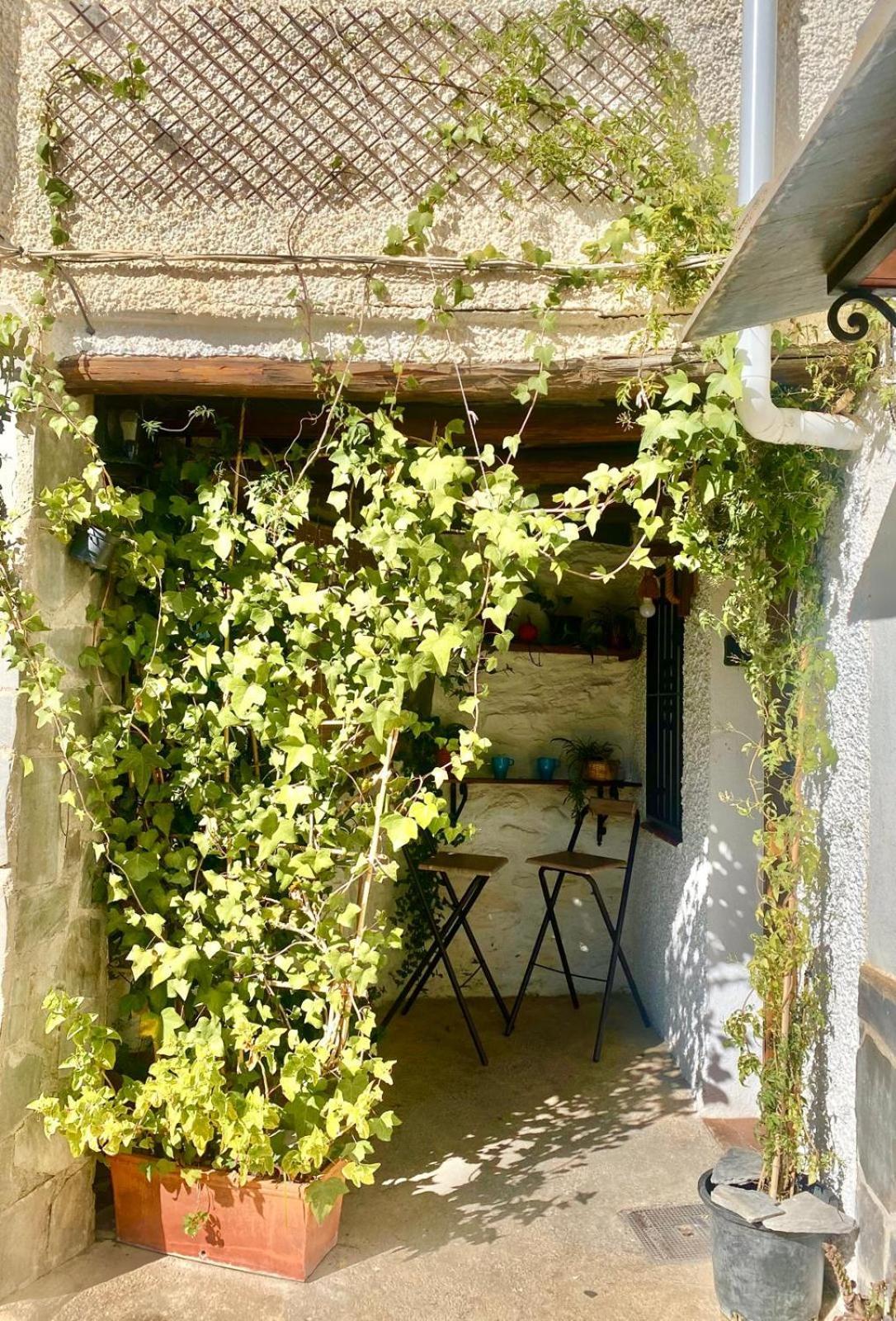 Casa Flores Holiday home Soportujar